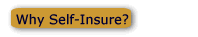 Why Self-Insure?